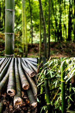 Ekologiska kläder av bambu. Handla billigt online hos ADEVE.